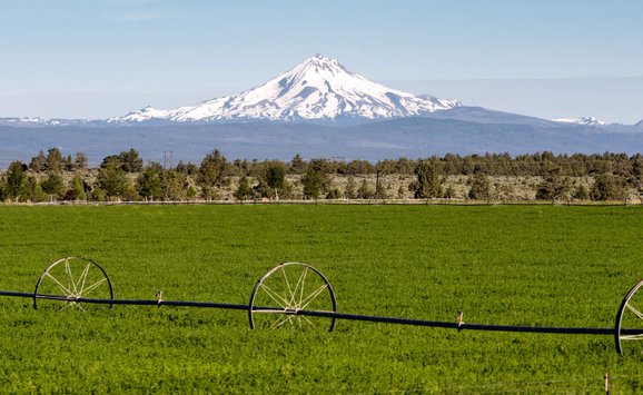 Why Place Matters Photo