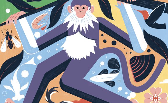 Michael Driver illustration