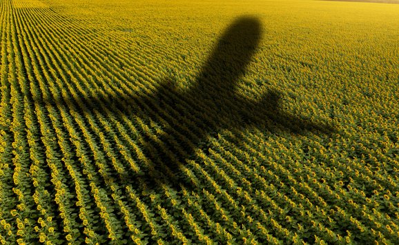 shutterstock_2261125883