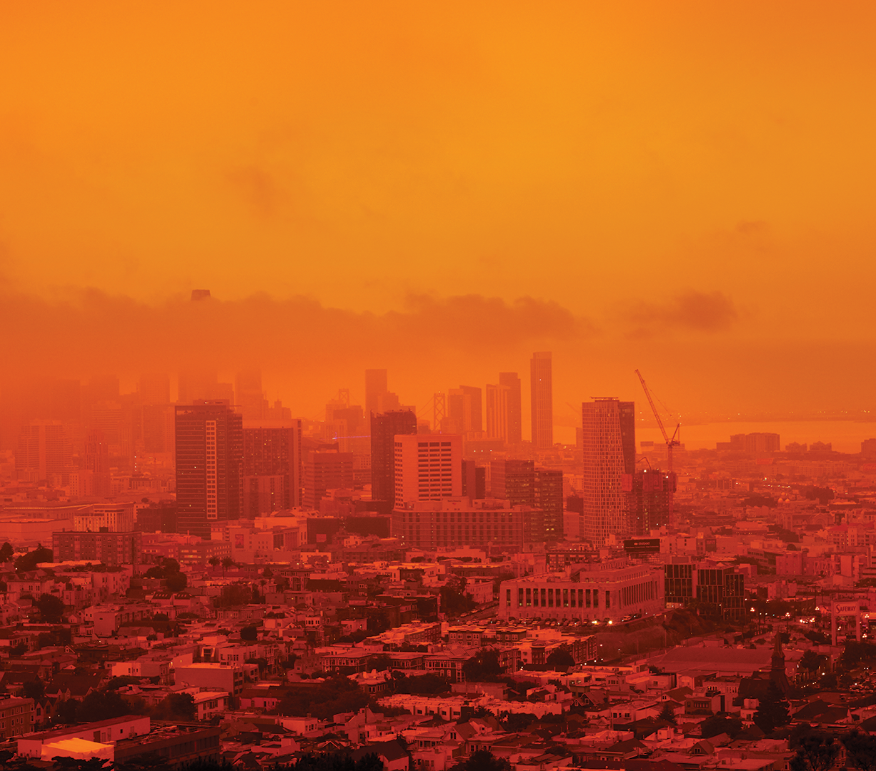 Issue 219 - Wildfire and Jobs - Getty Images 1275680475