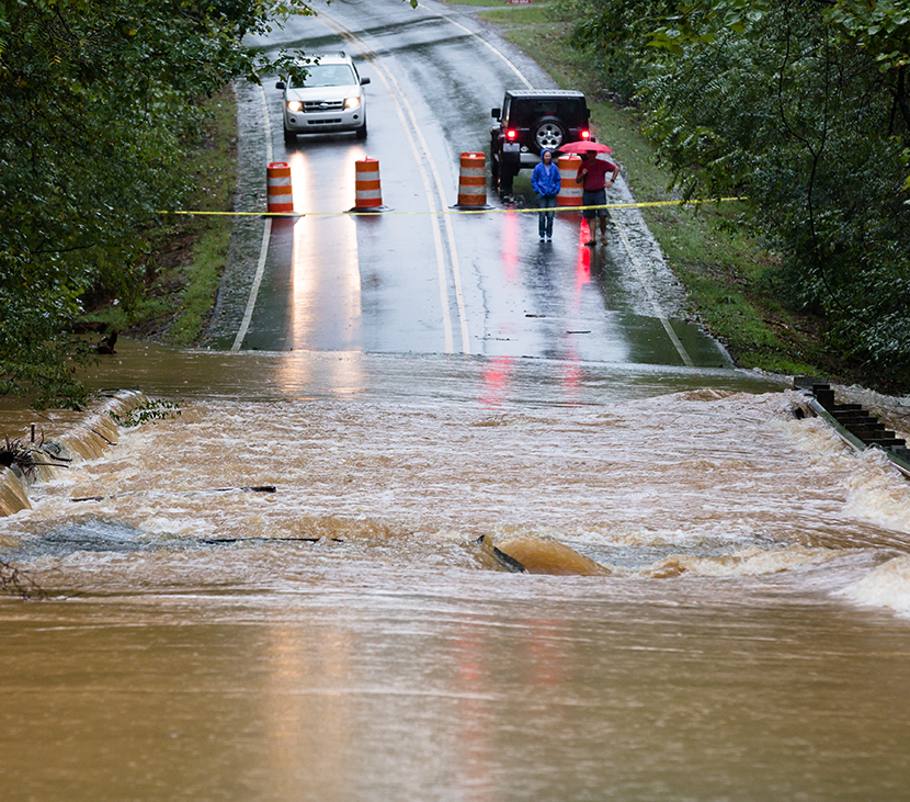 shutterstock_1181073832(1)