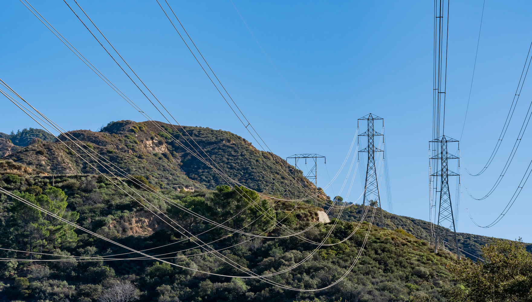 shutterstock_1297925170