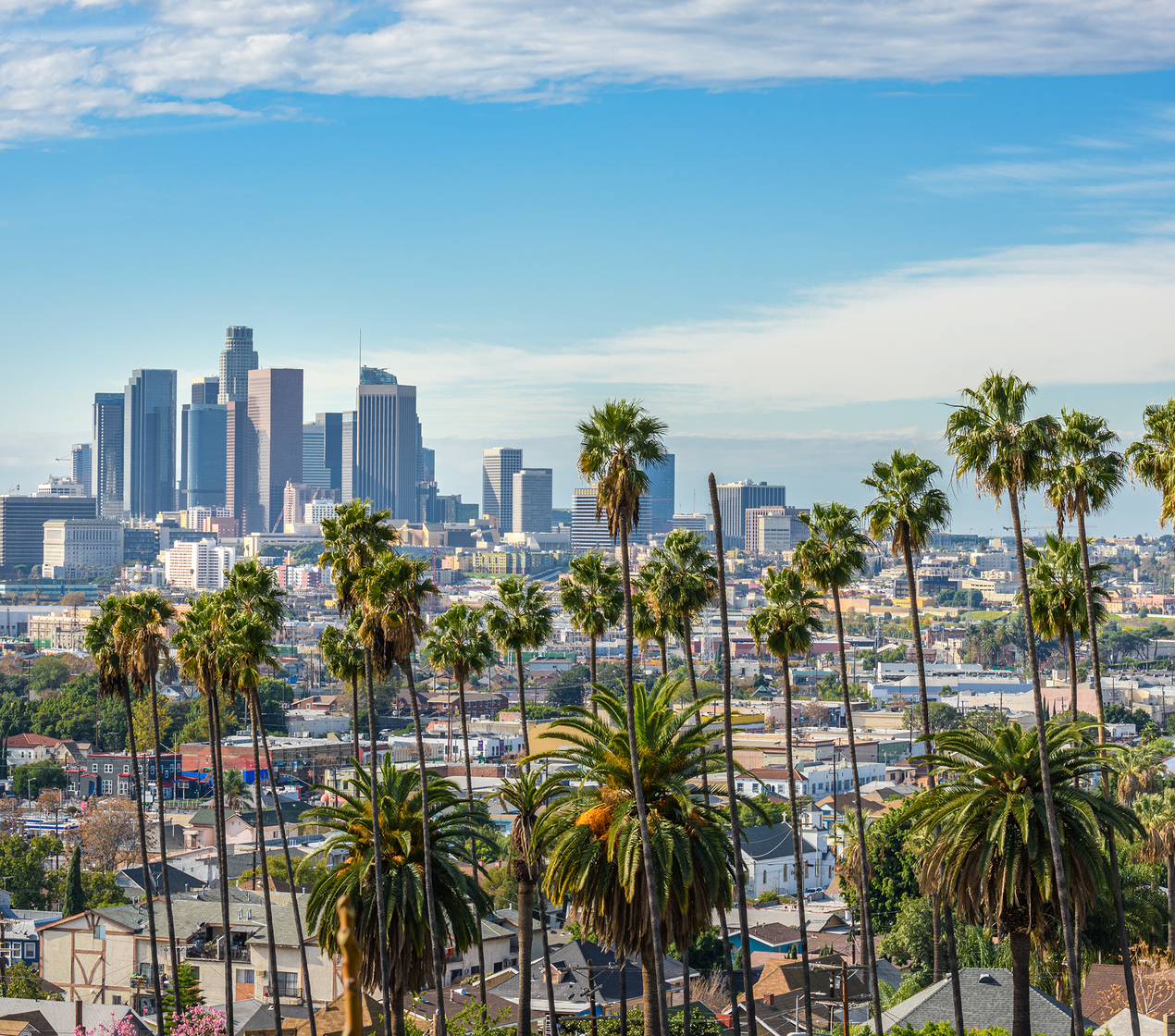 shutterstock_1887700108 (16x9)