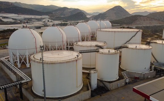 shutterstock_1934293244(1)