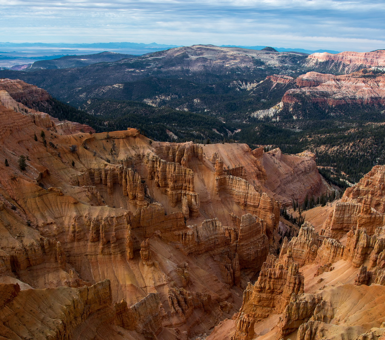 shutterstock_1998060971(1)