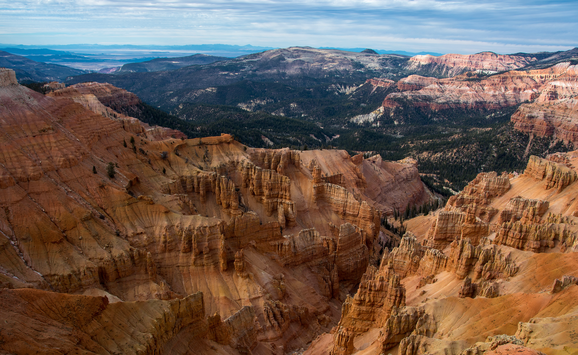 shutterstock_1998060971(1)