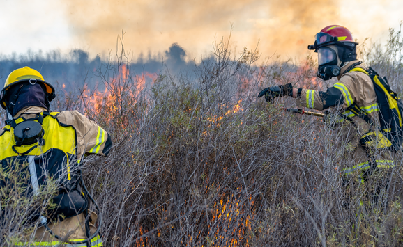 shutterstock_2014320440