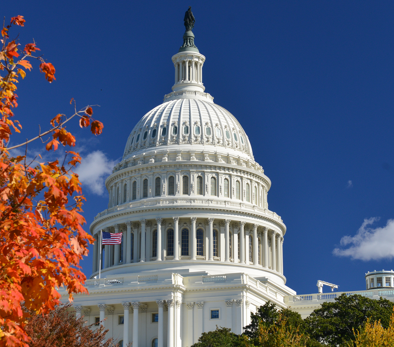 shutterstock_215436394.png(1)