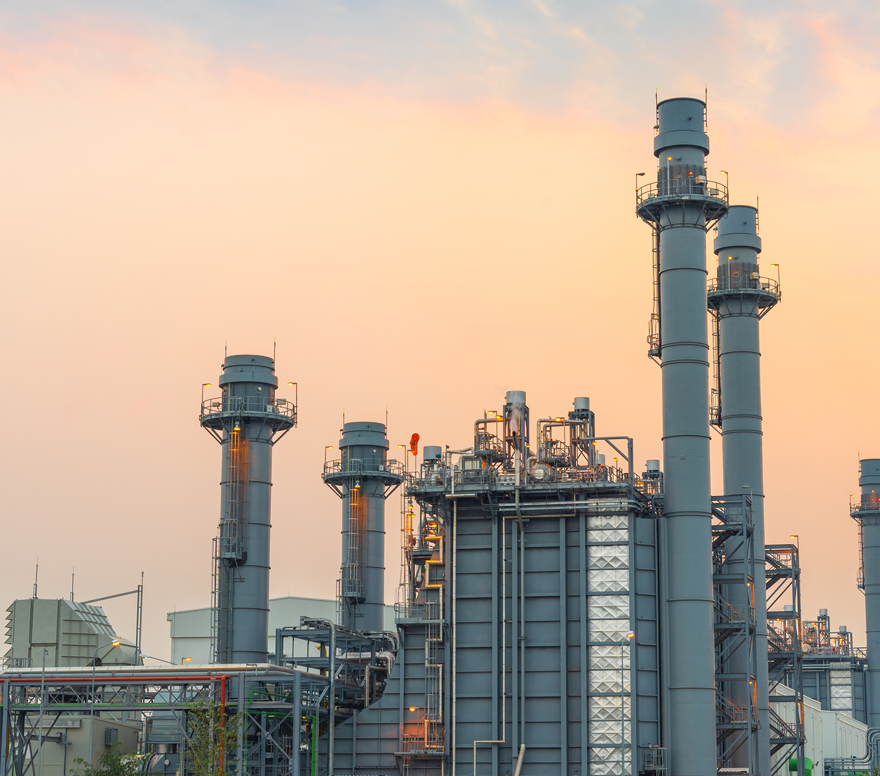 shutterstock_2292200379.png(1)