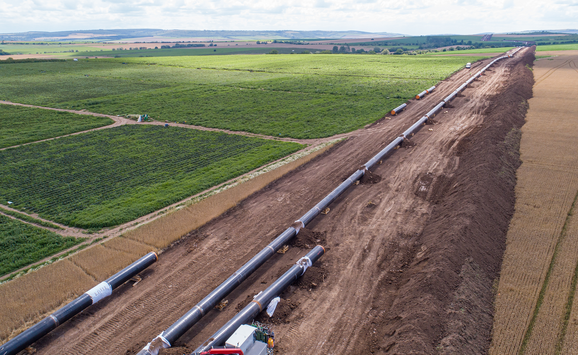 shutterstock_2337185991