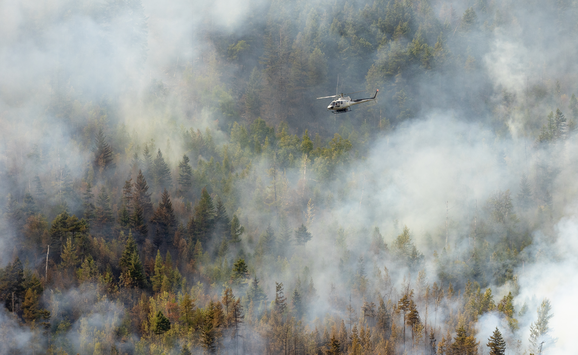 shutterstock_2400912575.png(1)