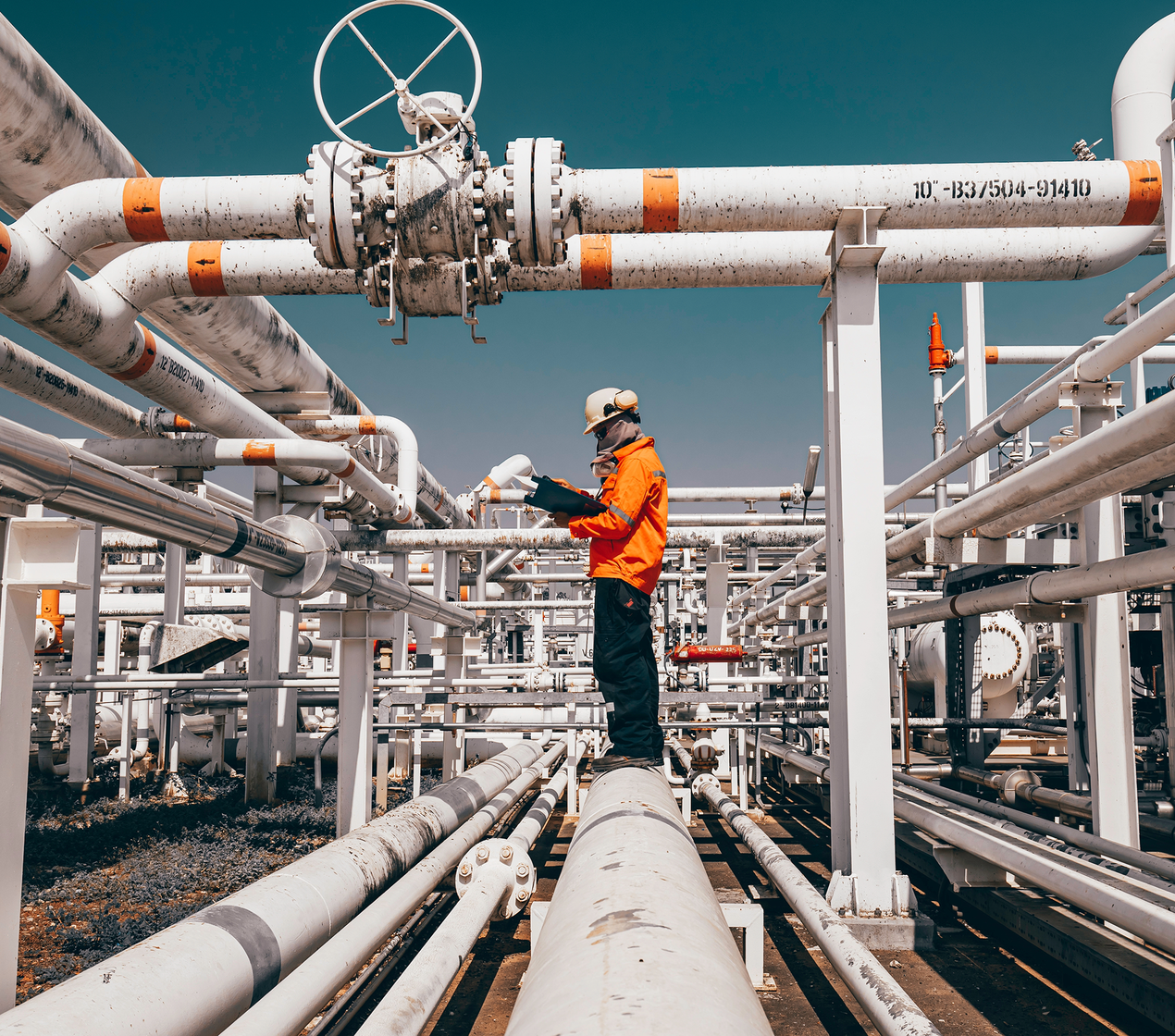 shutterstock_2420518787