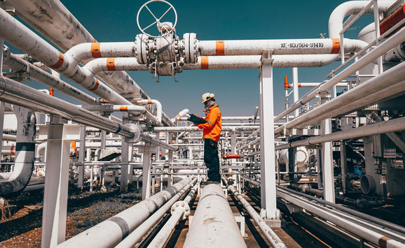 shutterstock_2420518787