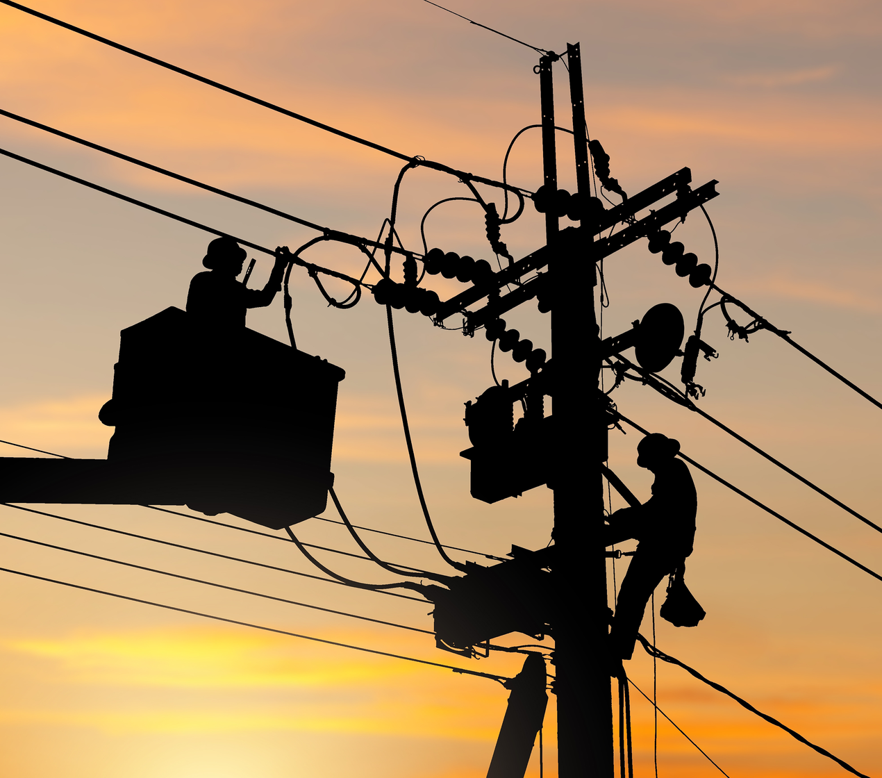 shutterstock_2425315767(1)