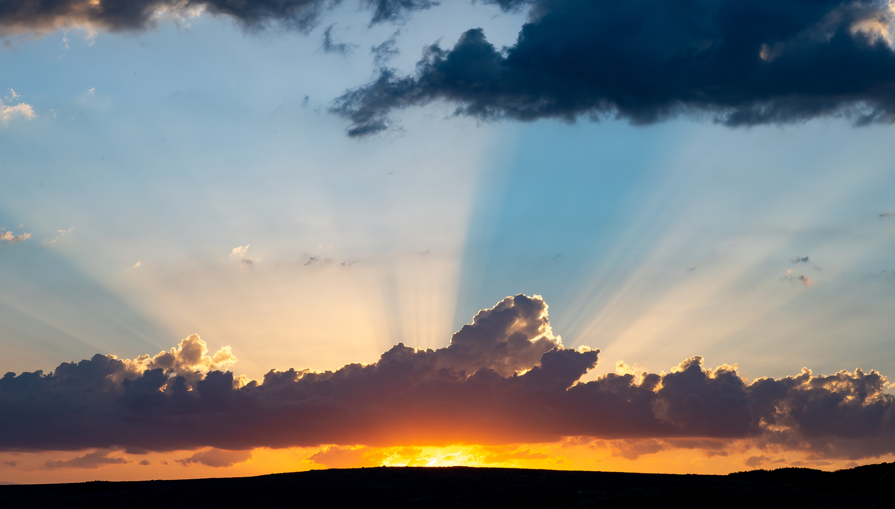 shutterstock_2606406039 (16x9)